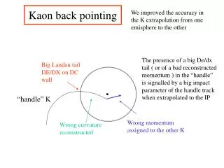 Kaon back pointing