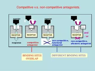 Competitive v.s. non-competitive antagonists.