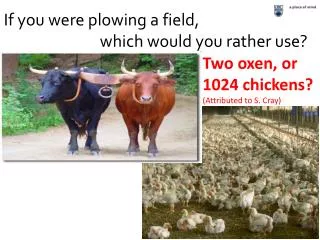 If you were plowing a field, 			which would you rather use?