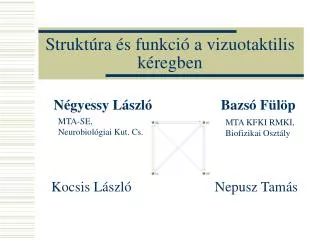 strukt ra s funkci a vizuotaktilis k regben