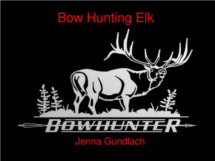 bow hunting elk