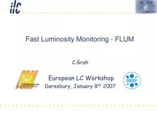Fast Luminosity Monitoring - FLUM
