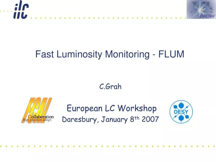 fast luminosity monitoring flum