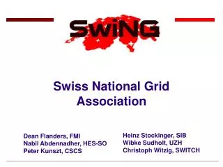 Swiss National Grid Association