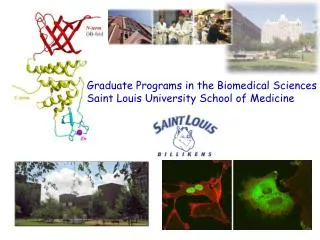Graduate Programs in the Biomedical Sciences Saint Louis University School of Medicine