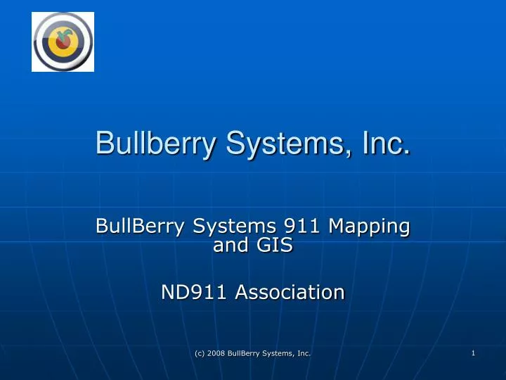 bullberry systems inc