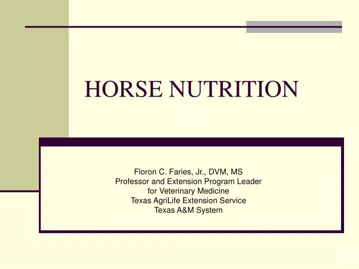 horse nutrition