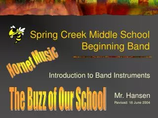 Spring Creek Middle School Beginning Band