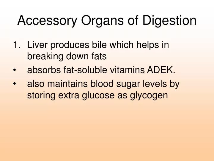 accessory organs of digestion