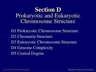 Section D Prokaryotic and Eukaryotic Chromosome Structure