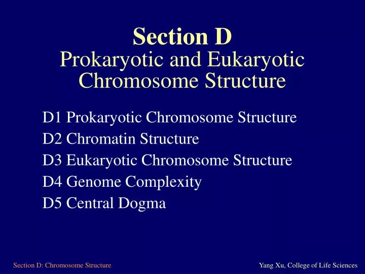 section d prokaryotic and eukaryotic chromosome structure