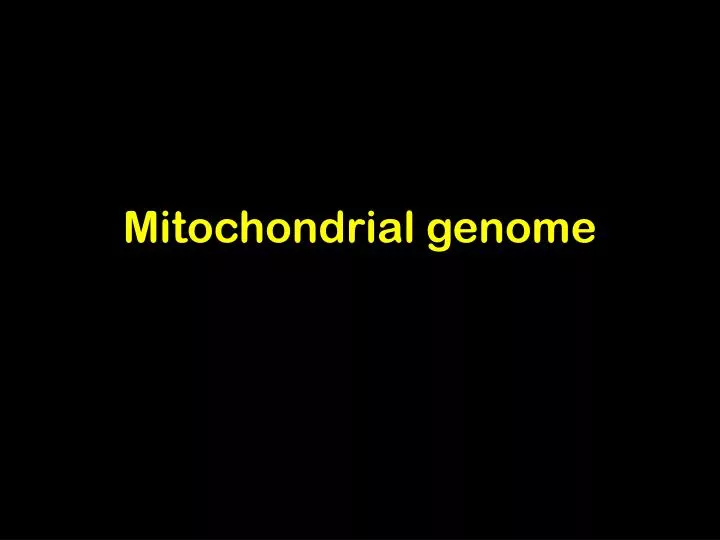 mitochondrial genome