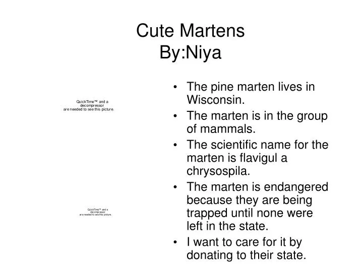 cute martens by niya