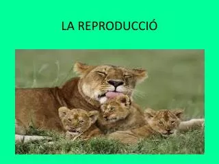 la reproducci