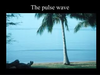 The pulse wave