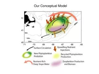 Our Conceptual Model