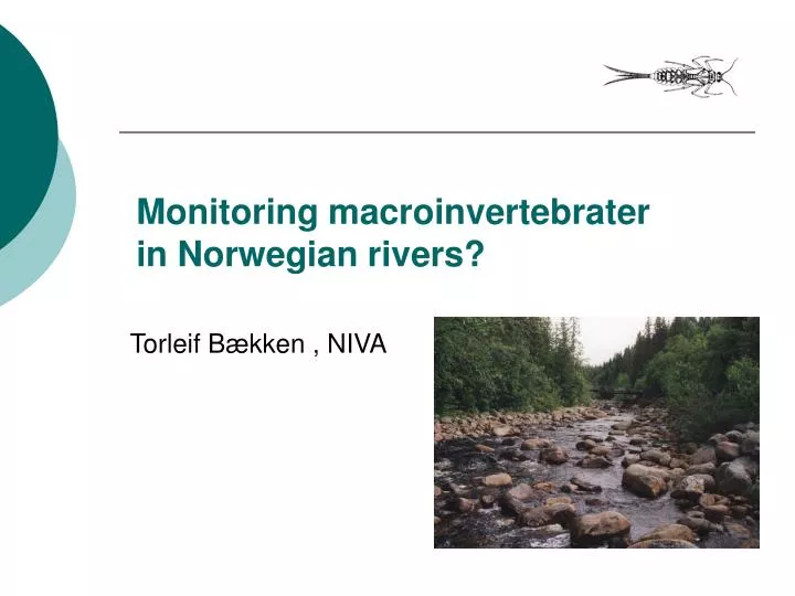 monitoring macroinvertebrater in norwegian rivers