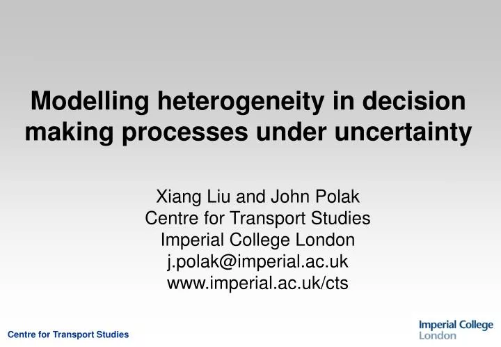 modelling heterogeneity in decision making processes under uncertainty