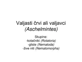 valjasti rvi ali valjavci aschelmintes