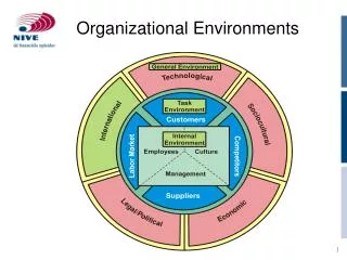 Organizational Environments
