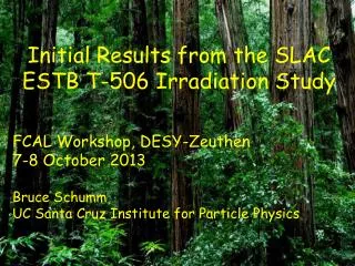Initial Results from the SLAC ESTB T-506 Irradiation Study FCAL Workshop, DESY-Zeuthen