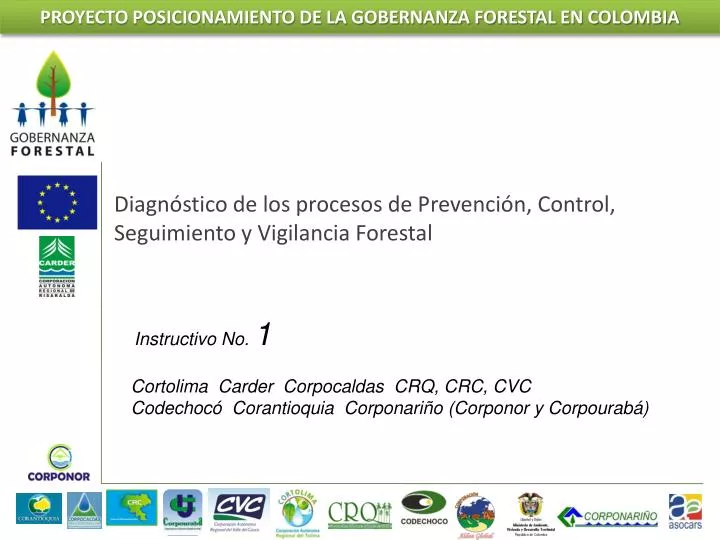proyecto posicionamiento de la gobernanza forestal en colombia
