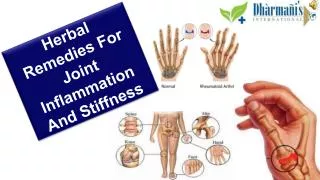 Herbal Remedies For Joint Inflammation And Stiffness