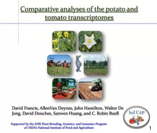 Comparative analyses of the potato and tomato transcriptomes