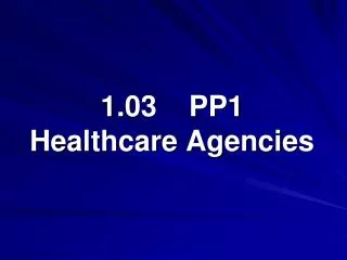 1.03 PP1 Healthcare Agencies