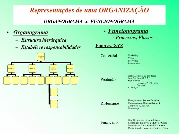 representa es de uma organiza o organograma x funcionograma