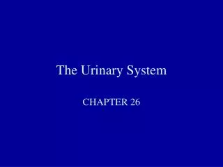 The Urinary System