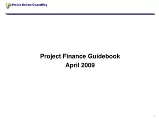 Project Finance Guidebook April 2009
