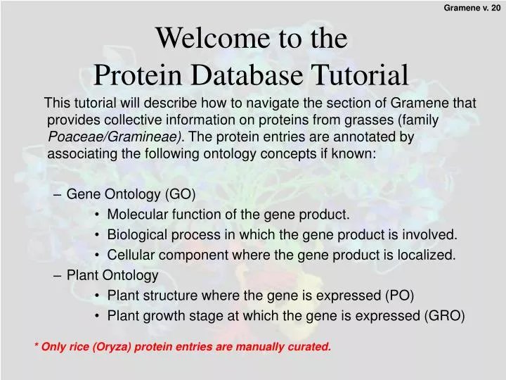 welcome to the protein database tutorial