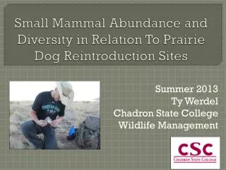 Small Mammal Abundance and Diversity in Relation To Prairie Dog Reintroduction Sites
