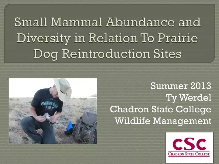 small mammal abundance and diversity in relation to prairie dog reintroduction sites
