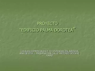 proyecto edificio palma dorotea