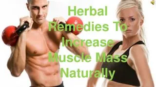 Herbal Remedies To Increase Muscle Mass Naturally
