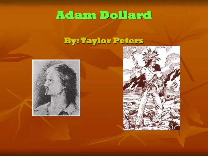 adam dollard by taylor peters