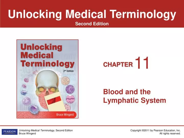 blood and the lymphatic system