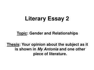 Literary Essay 2