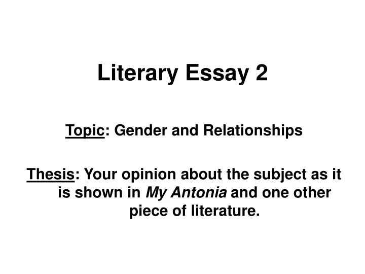 literary essay 2