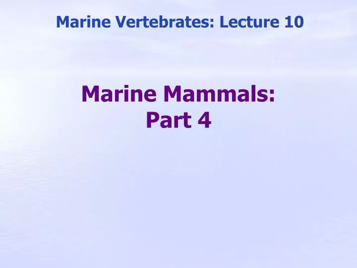 marine mammals part 4