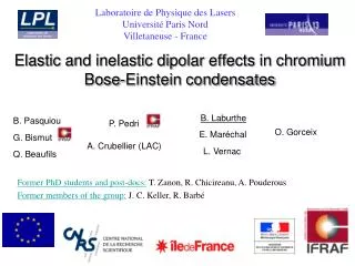 Elastic and inelastic dipolar effects in chromium Bose-Einstein condensates
