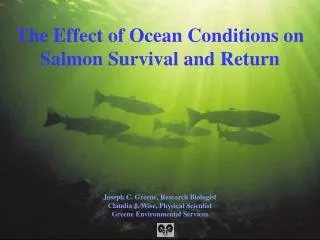 The Effect of Ocean Conditions on Salmon Survival and Return