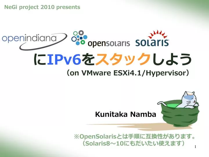 ipv6 on vmware esxi4 1 hypervisor