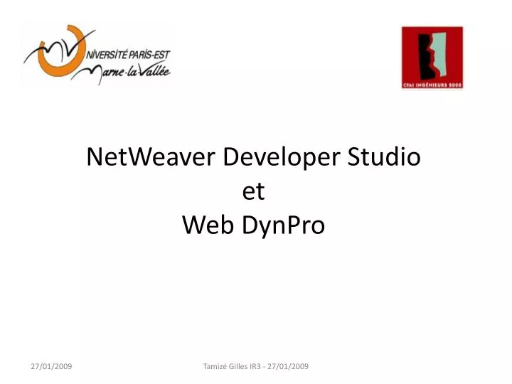 netweaver developer studio et web dynpro