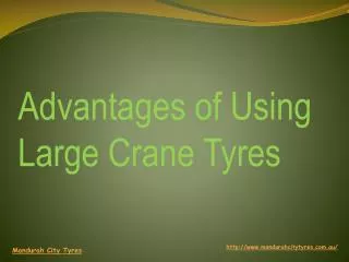 Advantages of Using Large Crane Tyres