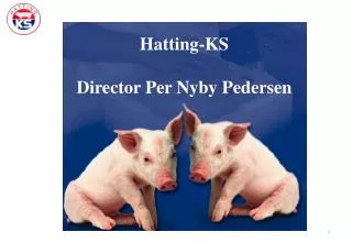 Hatting-KS by Director Per Nyby Pedersen