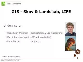 gis skov landskab life
