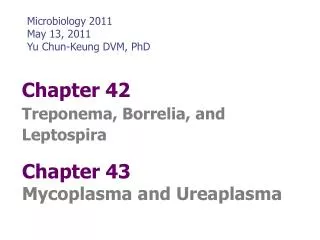 Chapter 42 Treponema, Borrelia, and Leptospira